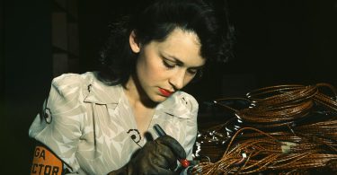 A professional woman at work