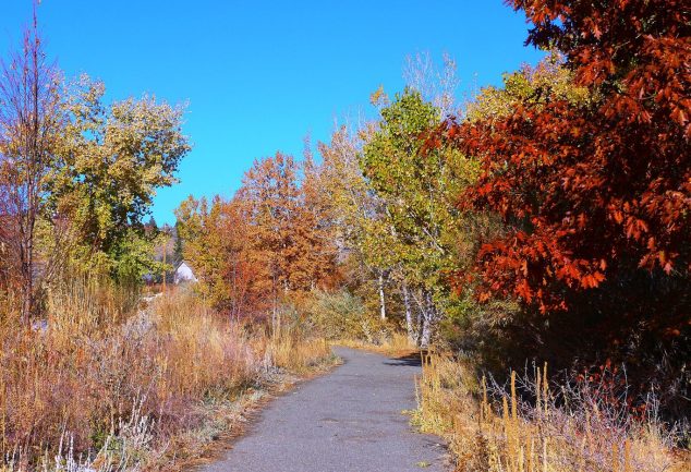 people walking together on park path